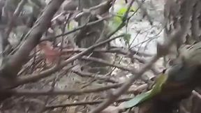 Public Park Jerk Off with Big Cock