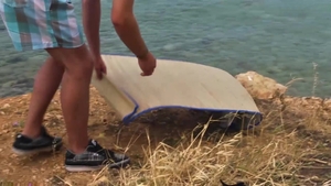 Peter's Wild Appreciation