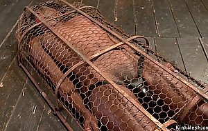 Ebony slave gets vibrated in cage