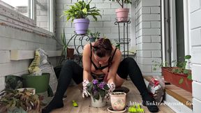 My Neighbours Have a Premium Subscription to My Balcony