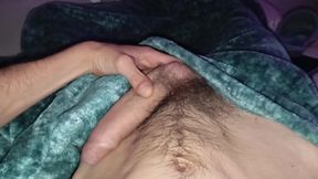 Would You Like to Suck This Cock While We Watch a Movie on the Couch with the Blanket?