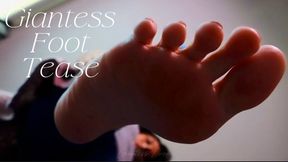 Giantess Foot Tease (mp4)