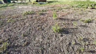 ビキニ姿の素人タトゥー入り熟女が巨根で汚いアナル中出しされる