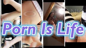 Porn Is LIfe: Gooner Programming