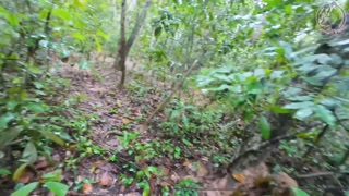 สาวไทยเดินเล่นในป่าแวะเย็ดกัน ก่อนไปเก็บเห็ด เสียงไทย4K