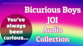 Bicurious Boys JOI Audio Collection - MP3