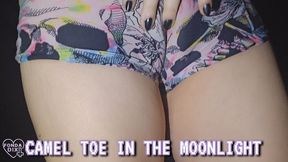 Camel toe in the moonlight [MP4 - 4K]