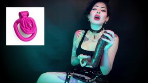 Locktobet Task for Sissies: Clitty Chastity and Big Black Cocks