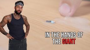 In the hands of the Giant - Lalo Cortez
