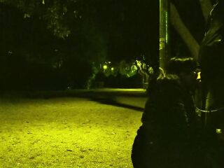 My spouse took me for a walk in the park with a leash around my neck. Then that guy wanted me to suck