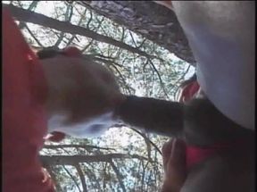 Cougar ebony shemale fuckign Latino twink in forest
