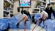Anal masturbation Karlaricasex