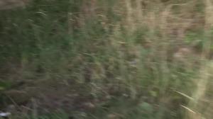 Czech Hunter - Good fuck at casting