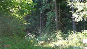 Exposed Hot Tub Party