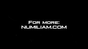 numiliam - update #1 - numi liam 67 - may 29, 2024