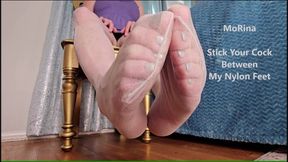 Stick Your Cock Between My Nylon Feet - MoRina foot fetish JOI (mobile vers)