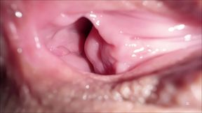 THE VIRGIN HAD MULTIPLE ORGASM - JUST AS HER SUBS WISHED