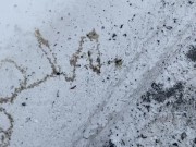 Amateur Twink Brian Public Urination Spelling Name in Snow