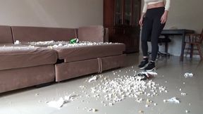 the ideal assistant is a vacuum cleaner