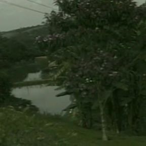 A Nice Fuck in the Pool with a Beautiful Trans