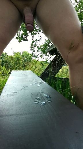 Outdoor masturbation