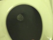 Pissing in the Plane Bathroom