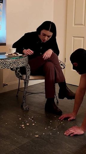 Lady Medea Hard Cock Vacuuming Verbal Humiliation