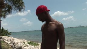 Black Ty