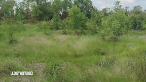 liloubyviceversex - outdoor pipe