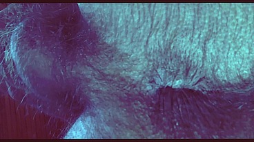 Pé, Axilas, Gozo Pênis Mole - Mar 11, 2026
