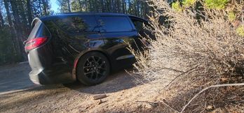 Roadside Suck &amp; Fuck with Riley &amp; Logan