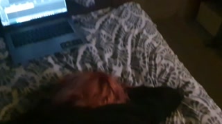 French girl fucked in doggy style while editing a video