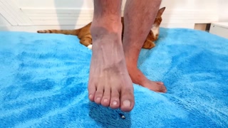 Be Stomped on from Underneath the Feet of Your Godly Asian Giant