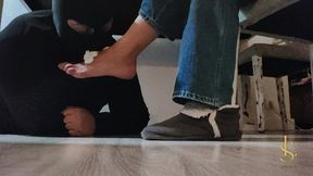 Estudiando aburrida… ¿tienes ganas de jugar, cachorrillo?