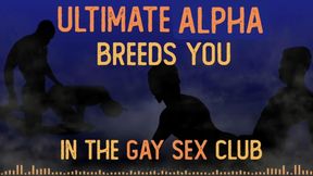 ULTIMATE DADDY DOM BREEDS YOU at the GAY SEX CLUB Audio