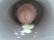 Fleshlight Internal View