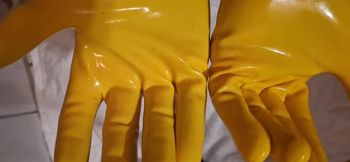 Latex Gloves Asmr
