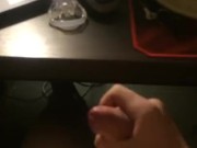 out of cage after 3 weeks first time fapping