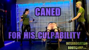 Masochist Training Sessions - Part 13 - Caned For His Culpability