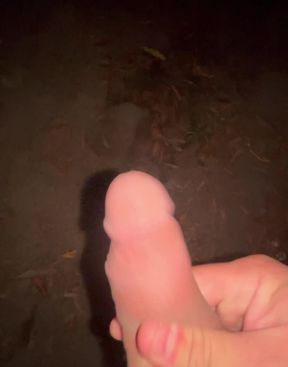 Public outdoor solo POV piss close-up