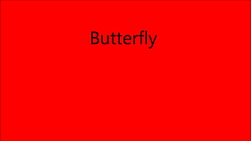 butterfly 1.0