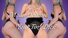 Mean Domme Laughs at Your Tiny Dick