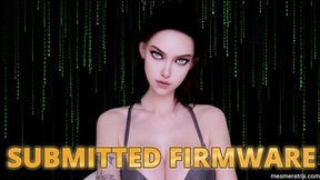 SUBMITTED FIRMWARE