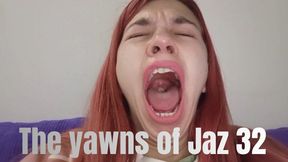 The yawns of Jaz 32