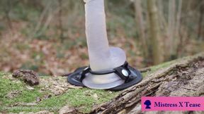 Outdoor Pegging