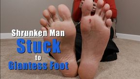 Shrunken Man Stuck to Unaware Giantess Foot - Kylie Jacobsx - MP4 720p HD