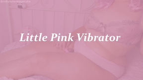 Little Pink Vibrator