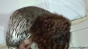 amiga da familia veio tirar ferias e me levou para o motel