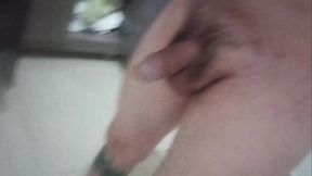 V&iacute_deo de verifica&ccedil_&atilde_o