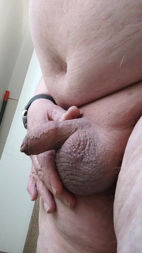 Small Shaved Cock Closeup